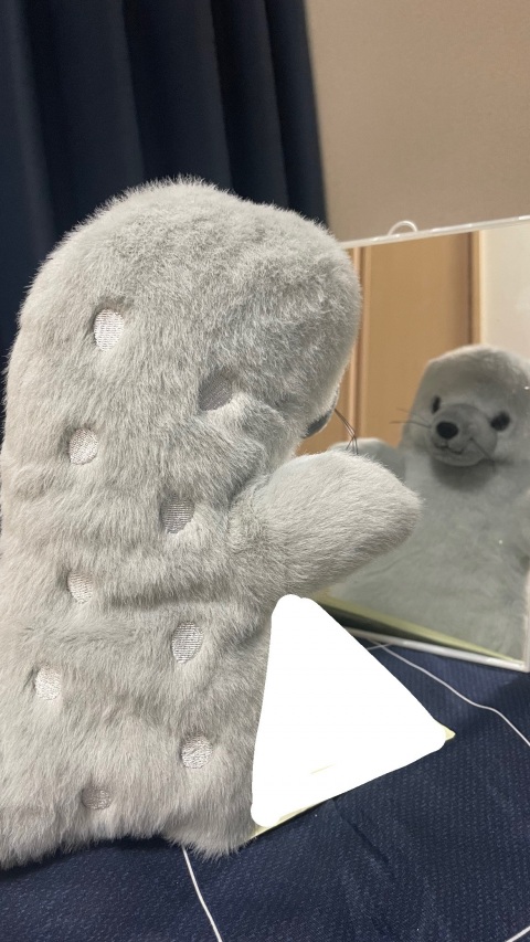 写メ