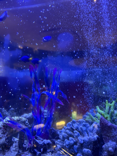 写メ